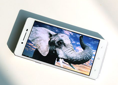 OPPO R1C⣺ٽ