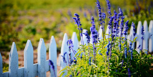 55��4K��ɫ�� ��ά55G8200���ܵ�������