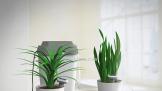 SmartGreenHouseֲϵͳ