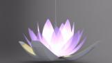 ӲLotus Flow 