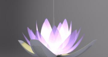 ӲLotus Flow 