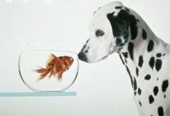 ͨȫ  Ȼðһιʳ