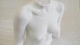 3Dӡ鷿ٰͷǻȡ