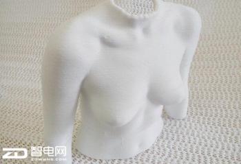 3Dӡ鷿ٰͷǻȡ