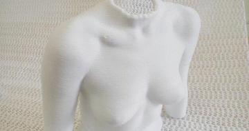 3Dӡ鷿ٰͷǻȡ