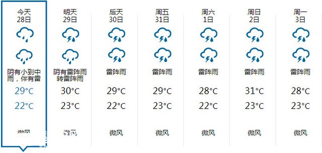 겻 HAZ Umbrella ɡ