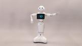 ҵPepper101Ԥ