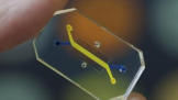 оƬ Իߵĸж