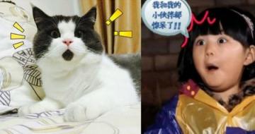 С鶼 ƻiPad PorȻûPCpad