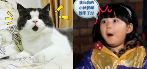  ȫǿʵ羹