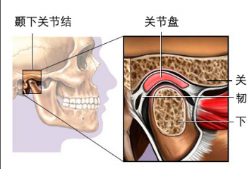 Զʱ۲ҧʳ ؽ