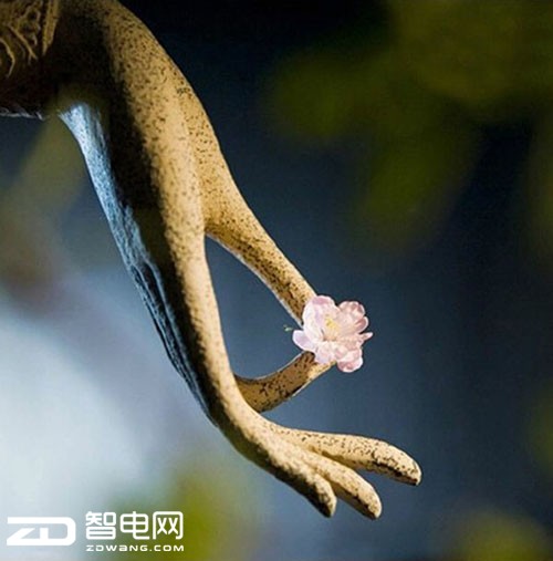 青葱metal