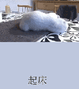 Ĺ OPPO R7 Plusȥ߿ɺã