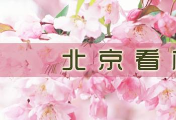 �������̴���Ũ vivo xplay5Я��̤�๲�ͷҷ�