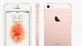 iPhone SEɼ 4Ӣֻ ûδ