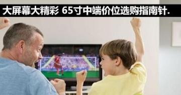 Ļ󾫲 65ж˼λѡָ
