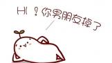 520ʲôܶǸѡ