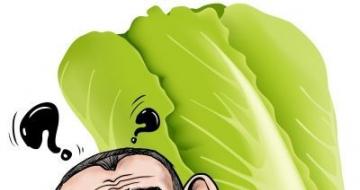 Ӵ۸ս ͳҵԳ֣