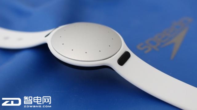 Speedo Shine 2Ӿֻ׼ȷ