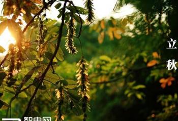 ������������������ϻ�������������XS������ǰ������