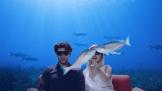 85VR豸2016VRػʽչ