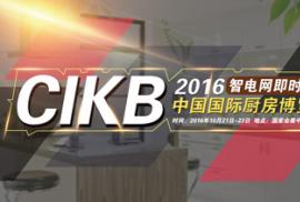 2016йʳCIKB2016