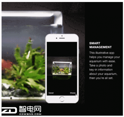 养鱼也能高科技 智能水族箱还能模拟自然光线环境