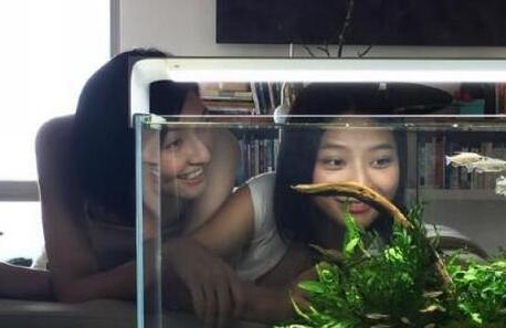 养鱼也能高科技 智能水族箱还能模拟自然光线环境
