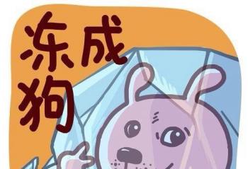 ��������ס���� ������翸��ס��ô�죿