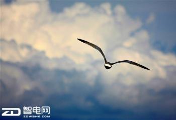 ��խ�߿�һ������ֵ ���������������ĸ���