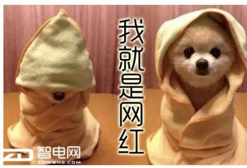 ��������X4����һ�������� ��������ʵ����