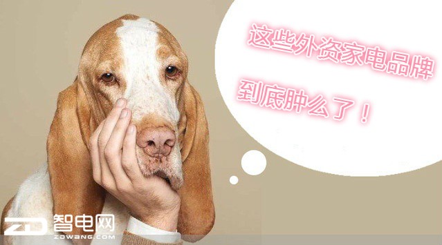 外资家电品牌