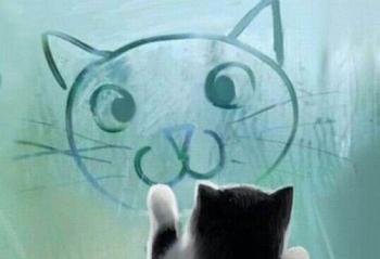 ���������ǲ���Զ ��������X4�ǿƼ�������