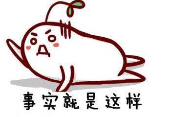 �ȹ���11�������� ���ڿ��Կ����۴��������