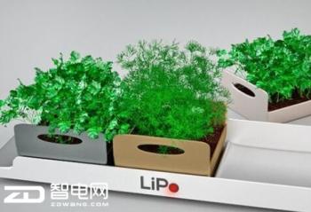 ��ֲ���ǽ�ˮ�� ������֡����ܡ��ϻ��� 