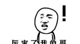 ҵĸ磡ƴӢΰȫԿĻX55