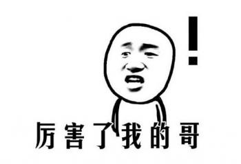 �������ҵĸ磡�������ƴ���Ӣΰ��ȫ���Կ��Ļ�����X55