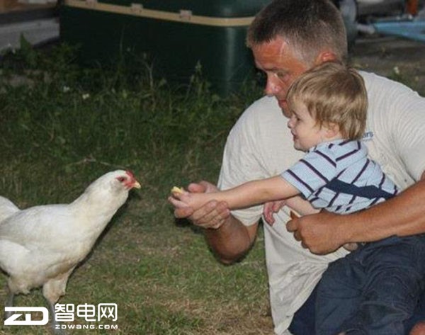 ɶ ûлX55ô羺