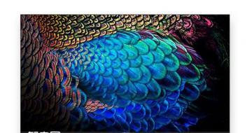 ڼӸ» 55ӢܵǾѡ