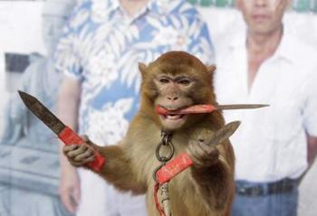 ֧�������帣����QQ���ҽ��췢2.5�ڴ���