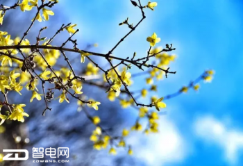 ���������������� ����������X5-KL7S1����Ŷ��