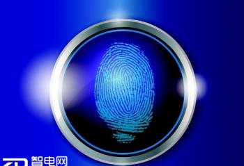 ָ��ʶ�𡢺�Ĥ���Ե粨��֤���ݸ���ʲô��ͬ��