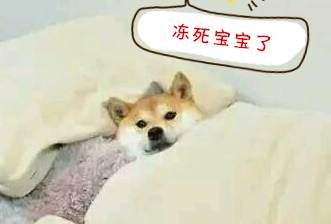 ˯˳ǿů