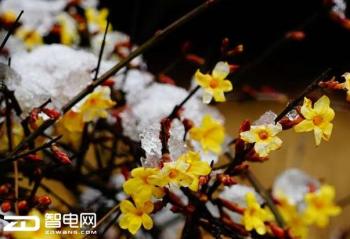 ��¼���������� ���������¼����һ�� 