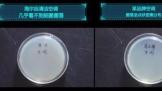 յ޾ ȫƷʽȫϵ