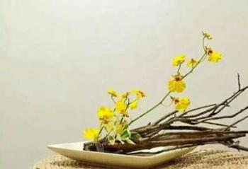 ����������ã��ô�죿�С�ս�񡱱���