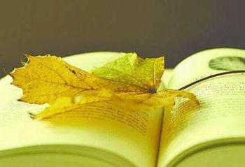 ÿ��ȥ�����鼦�����������������ϸ�����