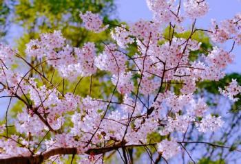 �ֵ�����ӣ������ʱ �����˲�����Ӱ������ȥ����