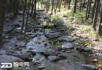 �����Ĵ��������Ŀ�