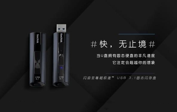 闪迪发布全新固态闪存盘 传输速率可与SSD并肩